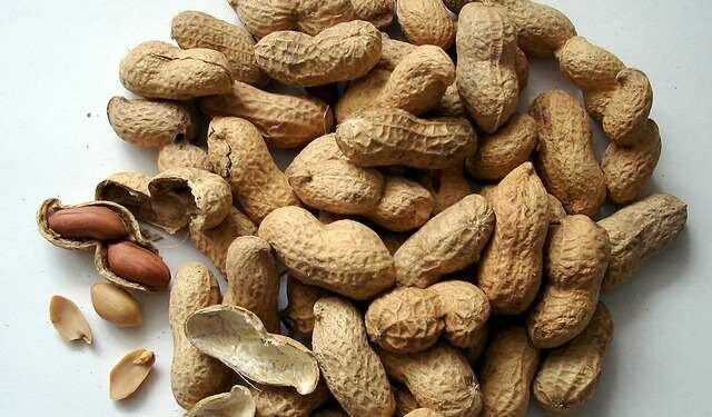 Anybody want a peanut?